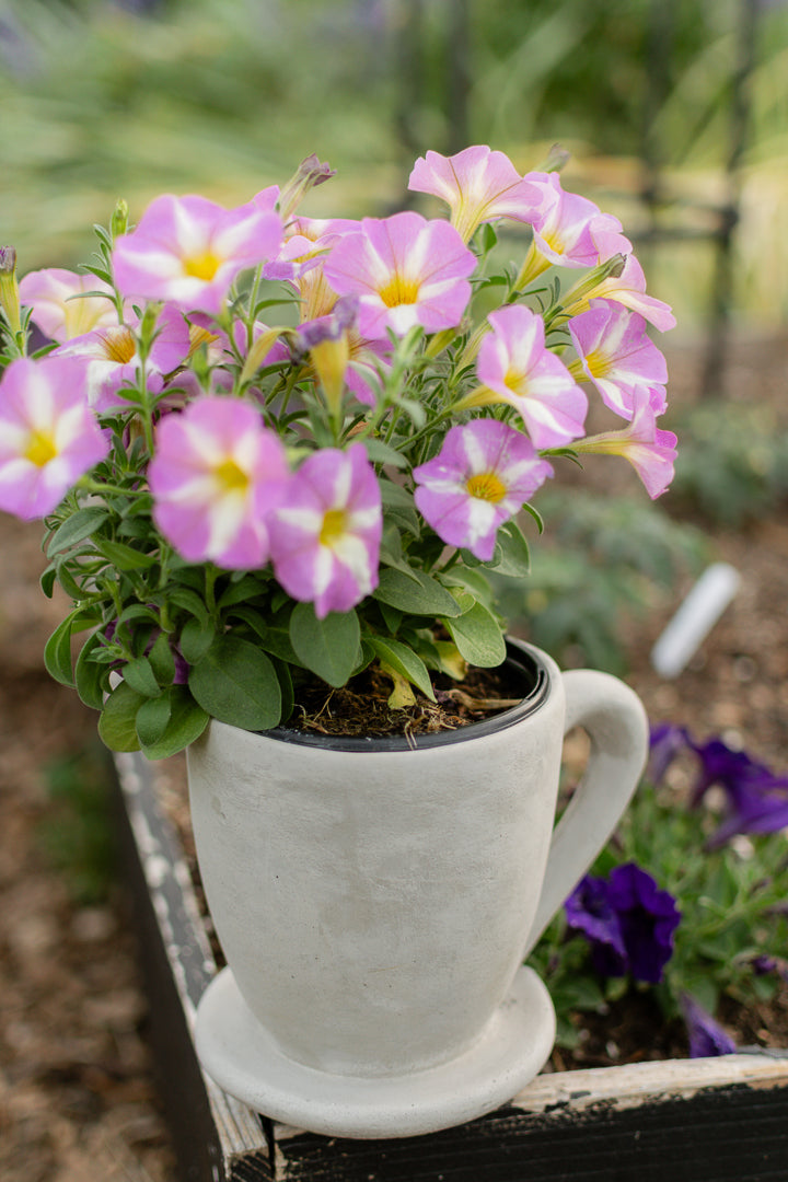 Arden Mug Plant Holder
