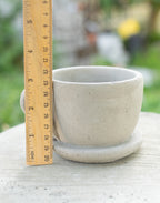 Brynn Teacup Plant Holder