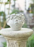 Elara Face Plant Holder