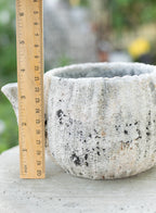Sable Teapot Plant Holder
