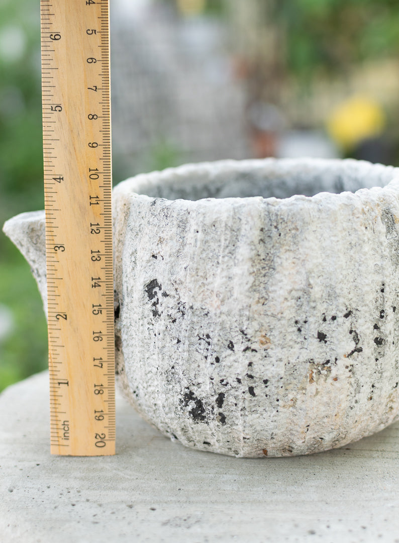 Sable Teapot Plant Holder