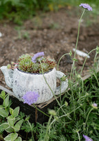 Sable Teapot Plant Holder