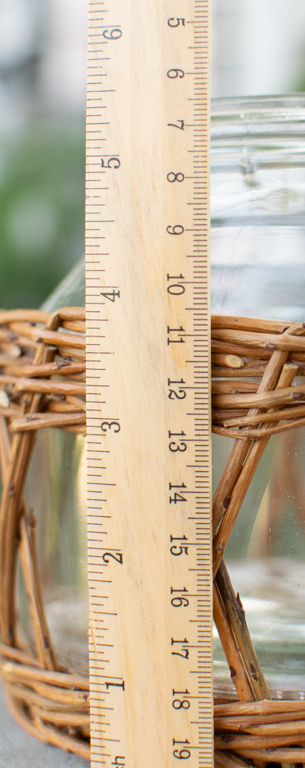 Willow Glass & Wicker Vase