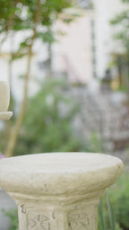 Brynn Teacup Plant Holder