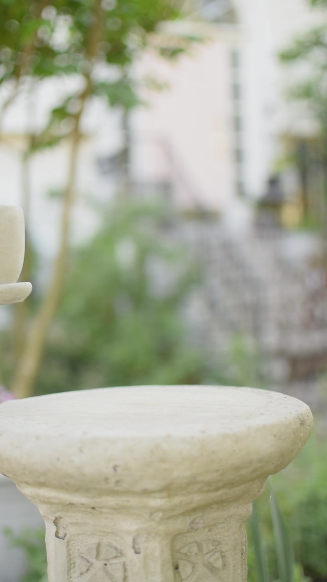 Brynn Teacup Plant Holder